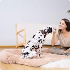 Fluffy Dog Bed Couch Cover, Calming Large Dog Bed, Washable Dog Mat for Furnitur