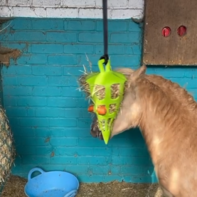Horse TreatBall Hay Feeder Toy Ball Hanging Feeding Toyfor Horse Stable