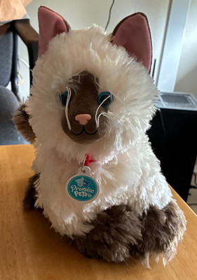 Build A Bear Ragdoll Cat Siamese Himalayan Plush Stuffed Promise Pet Collar BABW