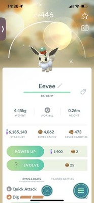 Pokemon Go Shiny Eevee Weihnachtsmütze