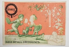 1890's Victorian Trade Card Sapanule Glycerine Lotion Sold By All Druggists