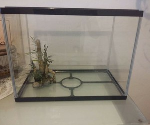 rectangle fish tank