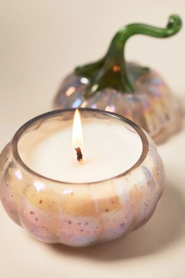 Anthropologie Gourmand Malted Wood White Birch mini Glass Pumpkin Candle New