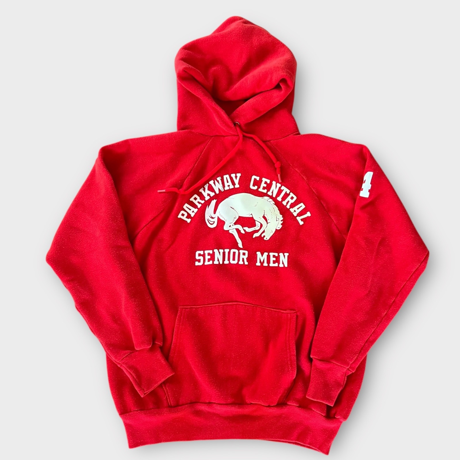 1984 Parkway Senior Men High School Vintage Mascot Hoodie Sweatshirt 80s 1980s
