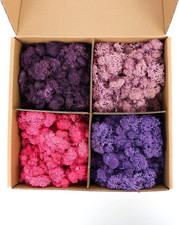Preserved 4 Color Reindeer Moss,Total 14OZ Each Color 3.5OZ, Natural Real Moss,