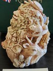 Harmony Kingdom  "Greenman's Grove" Treasure Jests Box Figurine — photo 2