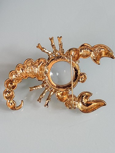 HUGE 3" JELLY BELLY BUG LUCITE SCORPION BROOCH PIN VINTAGE STYLE CHAMPAGNE RS - Picture 18 of 24