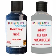 Touch Up Piant For Bentley Azure Peacock 9560007 With Primer