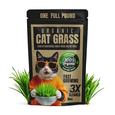 ANVEVO 1 Pound Premium Organic Cat Grass - Non GMO Mixed Seeds - Wheatgrass Seeds