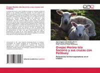 Juan Augusto HernáNdez-Rivera (U. A.) | Ovejas Merino Isla Socorro Y Sus...