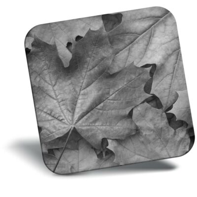 Awesome Fridge Magnet bw - Autumn Leaves Maple Tree #36252 | eBay Australia