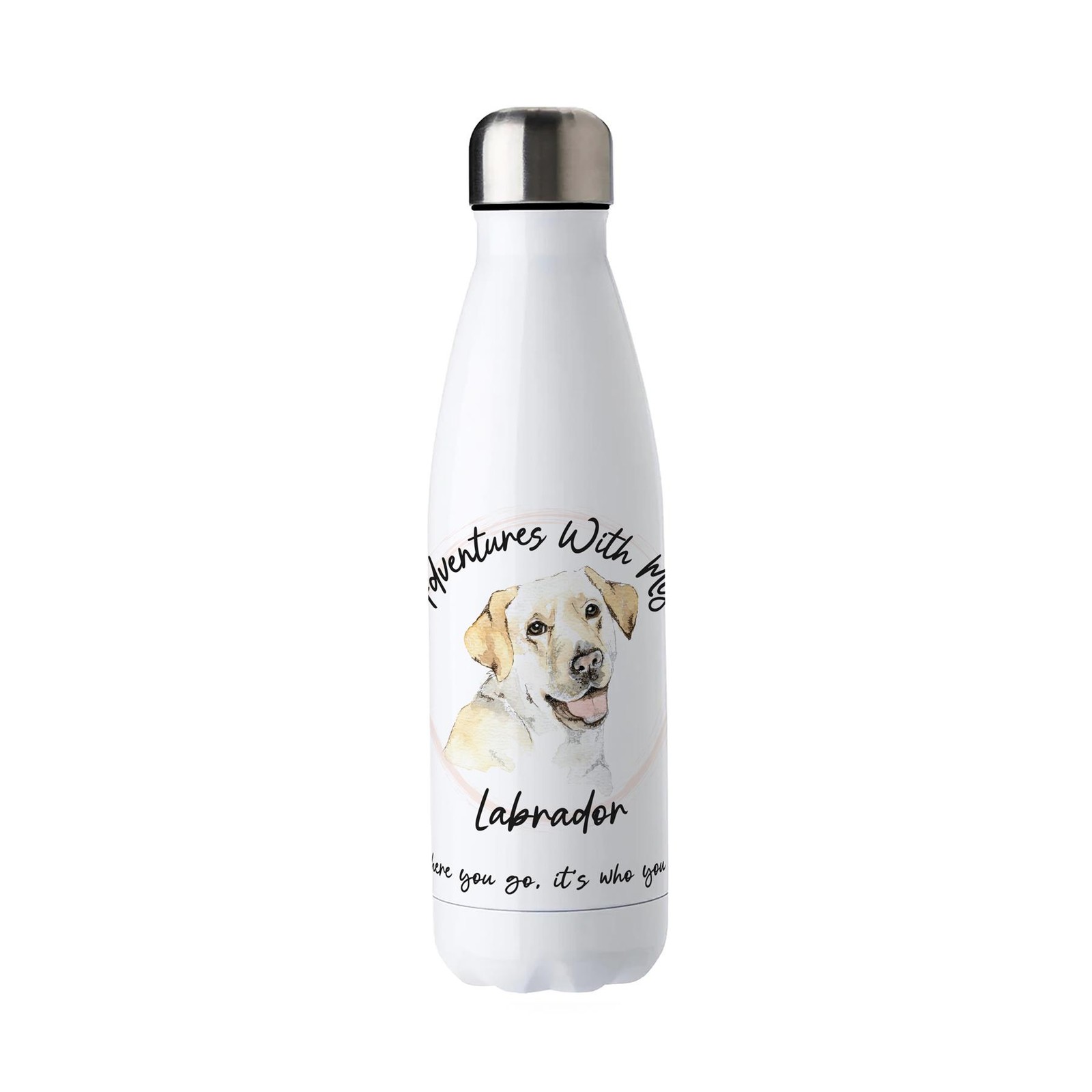 Adventures with My Labrador Stainless Steel Water Bottle Gifts for Dog Lovers