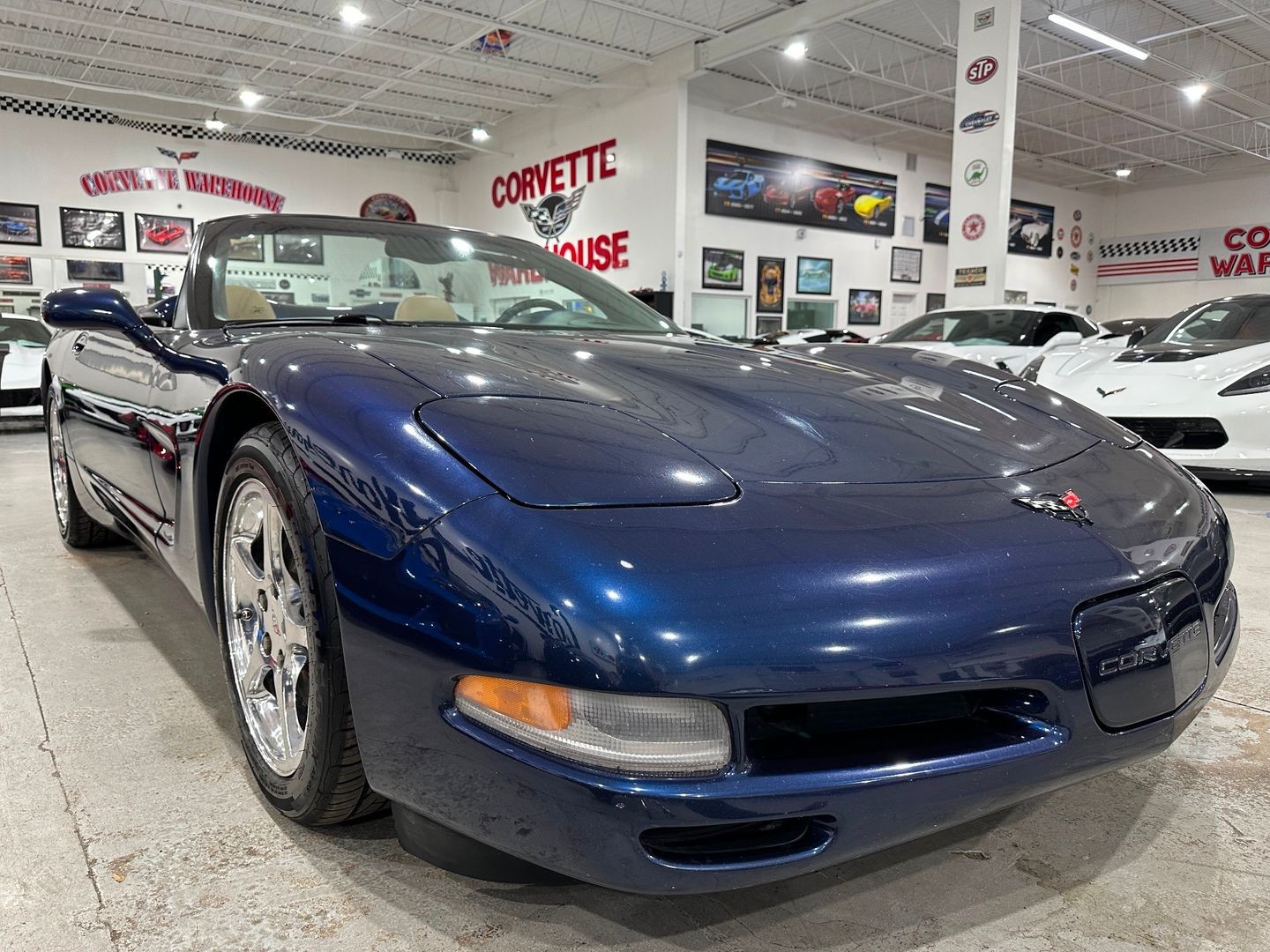 2001 [28U] Navy Blue Metallic Chevrolet Corvette   | C5 Corvette Photo 6