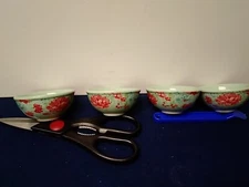 Pioneer Woman Gorgeous Garden Mini Dipping Bowls 3.1 Inch Diameter Set of 4 Gree