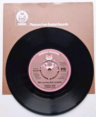 ANDREA TRUE CONNECTION''Whats Your Name Whats Your Number''1976. BUDDAH records