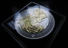 2010 Silver Britannia 1 oz — photo from another recent sale