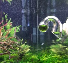 Pre-mixed 4dKH CO2 Indicator ? Ready-to-Use CO2 Drop Checker Solution