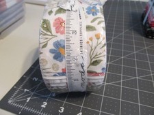 MODA WILD HONEY JELLY ROLL