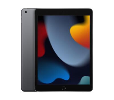 Apple iPad 9. Generation 25,9cm (10,2'') 256GB space grau