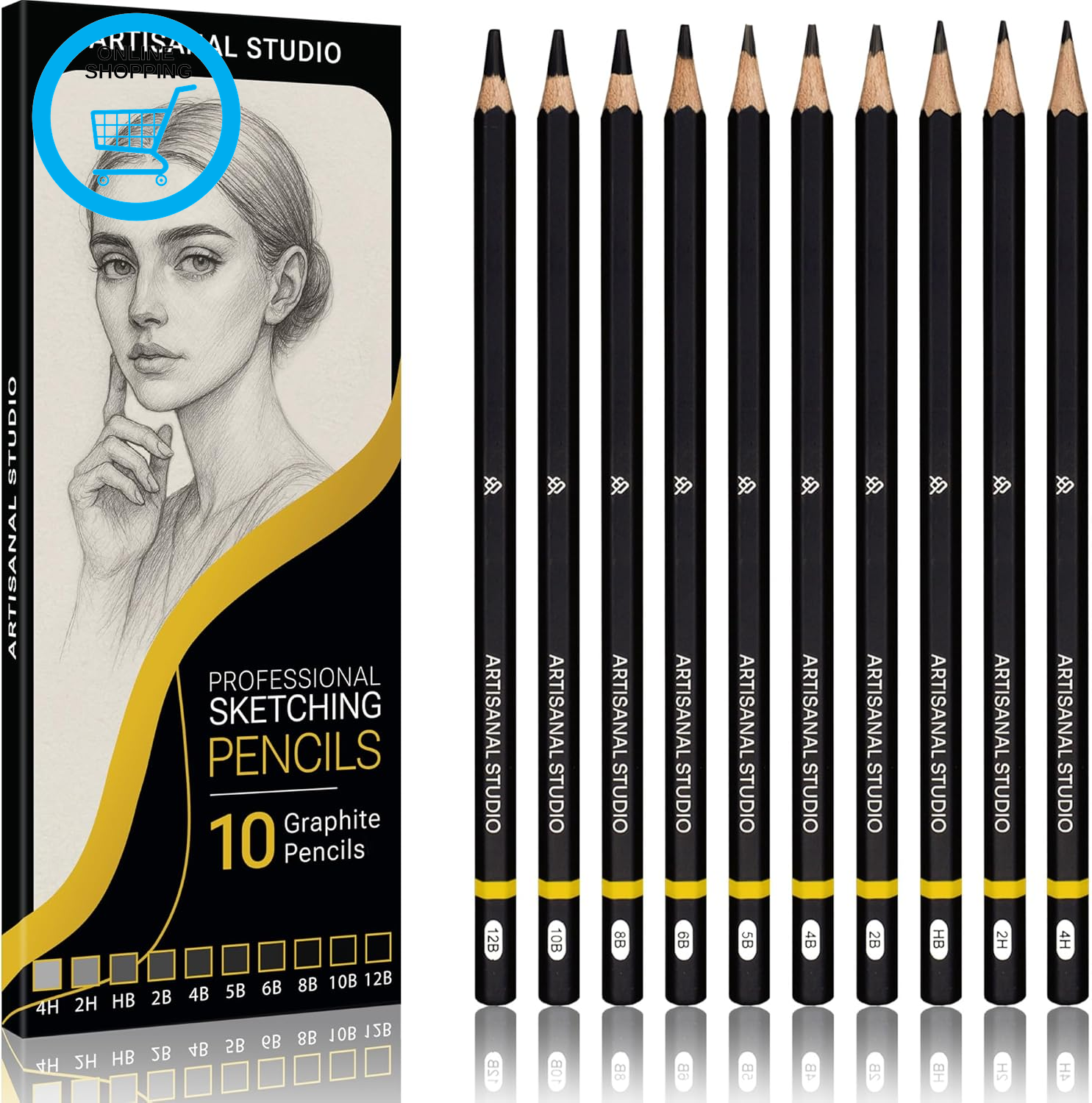 Sketching Pencils Set of 10, 12B to 4H Graphite Drawing Pencils for Artists Idea