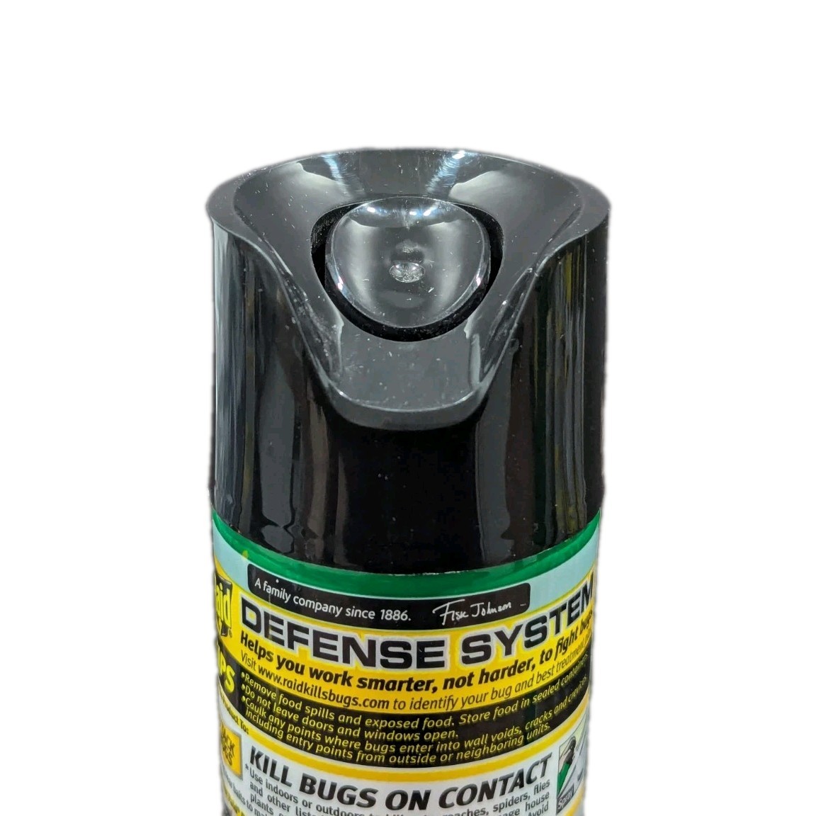 Raid House and Garden, Won't Harm Plants, Attacks Bugs, Indoor/Outdoor, 11 Oz.