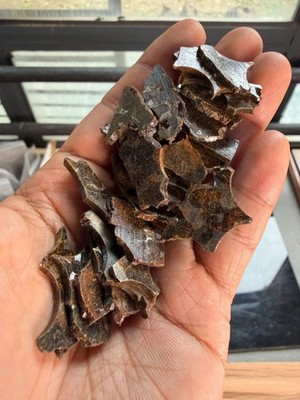 51.1grams Sericho Pallasite Meteorite Slice