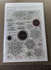 Simon Says Stamp Snowflake Season Stamp Set
