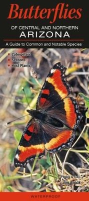 Butterflies of Central - Northern Arizona : A Guide to Common and