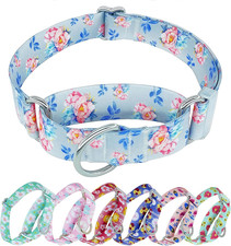 Martingale Collar for Dogs, Adjustable Soft Nylon Training Collars with No Buckl