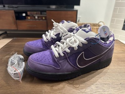 Size 11 - Nike SB Dunk Low x Concepts Purple Lobster NO BOX