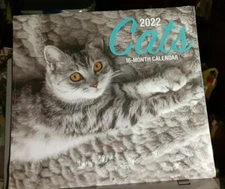  2022 Cats 16 Month Wall Calendar 10" X 11" closed 20" X 11" open