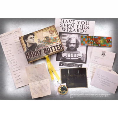 HARRY POTTER FILM ARTEFACT BOX NOBLE COLLECTION HOGWARTS GRYFFINDOR UFFICIALE
