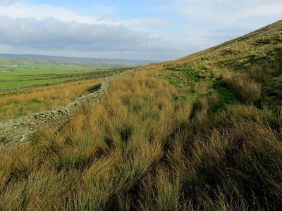 Photo A3 Below East Fell West Scrafton Moorland Scene above Coverdale c2013