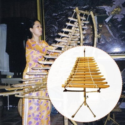 Vietnamesisches traditionelles Musikinstrument T' Sprosse für Yoga Bühnenaufführung