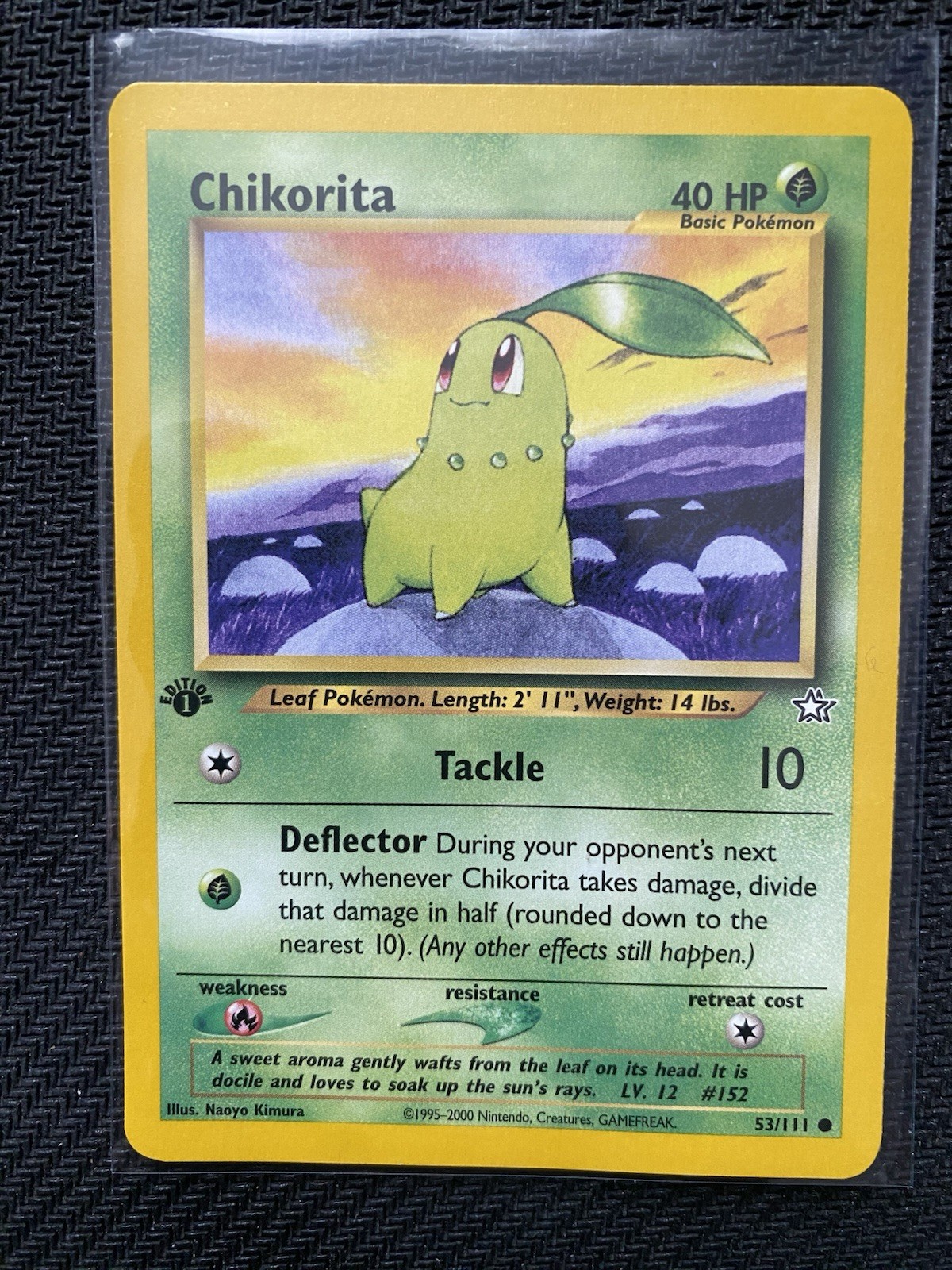 Pokémon TCG Chikorita Neo Genesis 1st Edition Common Card 53/111 NM Condition
