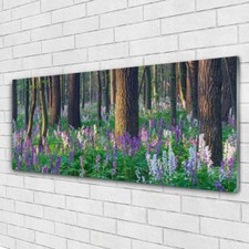 Glasbilder Wandbild Druck auf Glas 125x50 Wald Natur