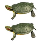  2pcs High Simulation Brazilian Tortoise Animal Model Marine Organism Decoration