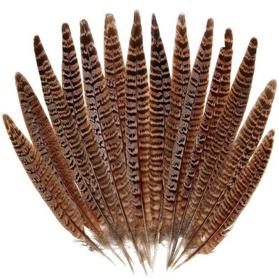DIY Pheasant Feather Tails 12-14'' 20pcs Natural Feathers