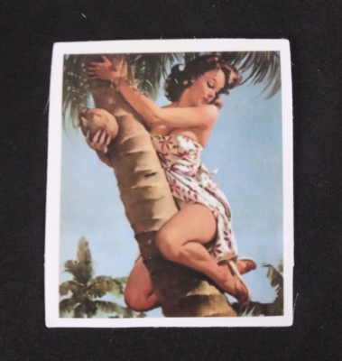 Beautiful Sexy Retro Pin Up Girl Sticker 2.38