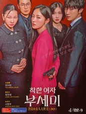 Korean Drama - Ms. Incognito