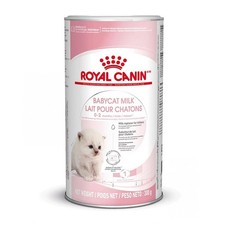 Kitten Milk Supplement Babycat Kitten Milk Royal Canin 300g 81.63 per kilo