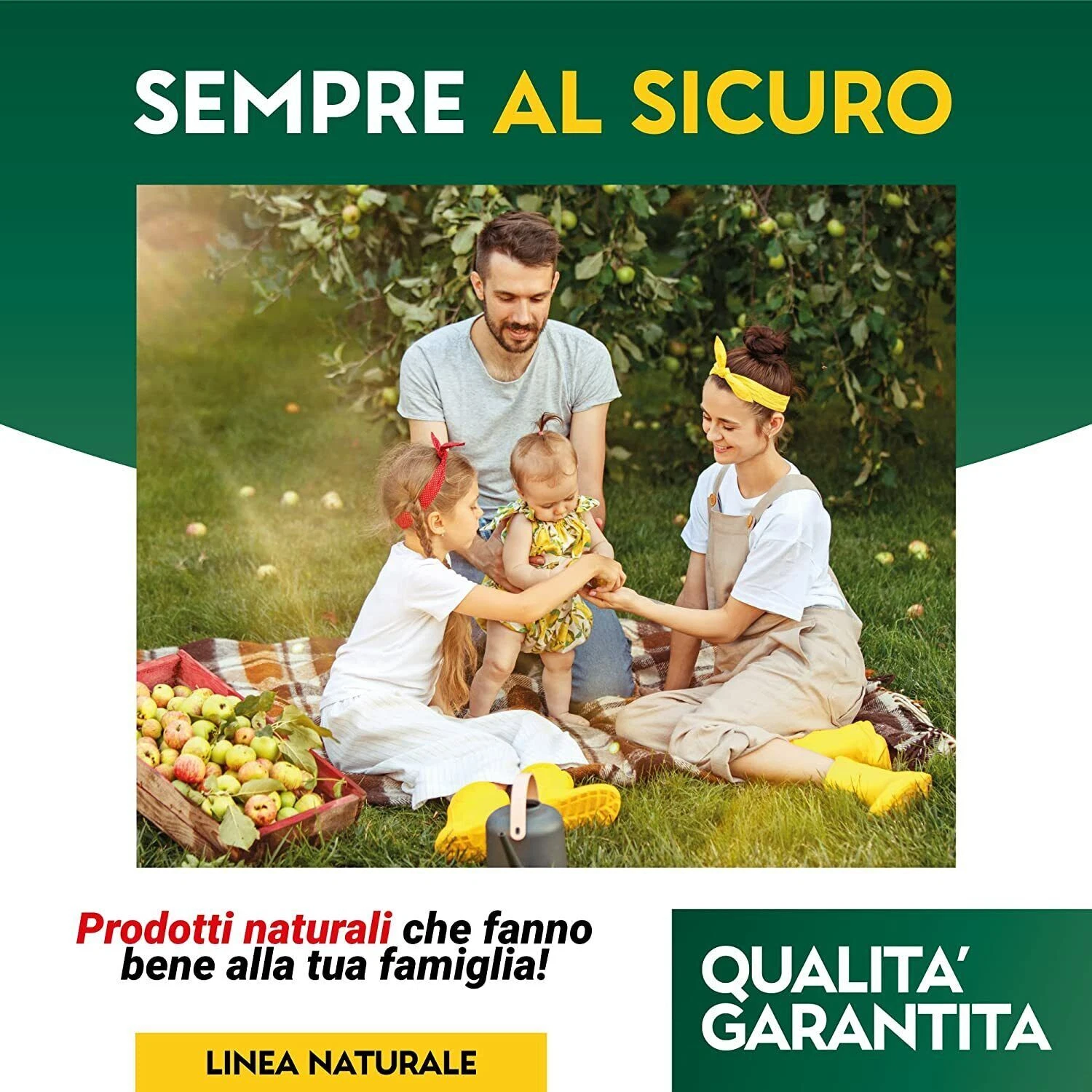 Foto 6 di 7