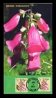 DR JIM STAMPS US COVER FOXGLOVE HERBS FIRST DAY ISSUE COMBO ALL OVER BGC