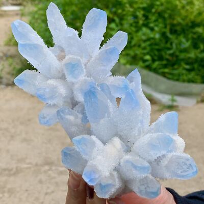 1.26LB New Find BLUE PhantomQuartz Crystal Cluster MineralSpecimen