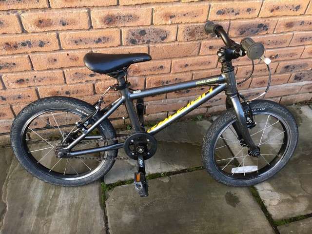 raleigh performance 16