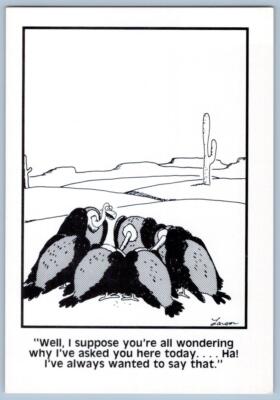 1985 BUZZARDS VULTURES IN MEETING GARY LARSEN FAR SIDE VINTAGE POSTCARD