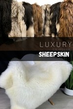Cream White Sheepskin Rug Genuine Sheepskin Pelt / Eco Pets Friendly Gift