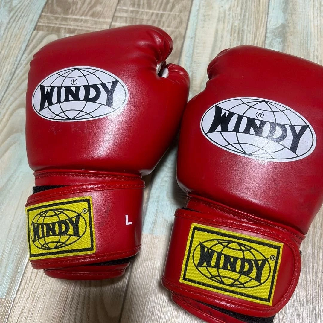 Windy Gloves for sale | eBay