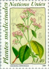 UN Geneva #Mi187 MNH 1990 Medicinal Flowers Cinchona officinalis [187]