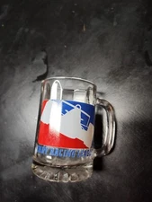 Indy Racing League Drinking Glass Mug